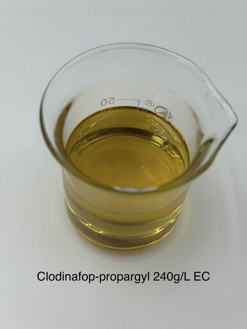 Clodinafop-propargyl 240g/L EC